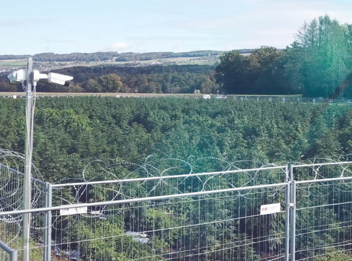 cannabis feld